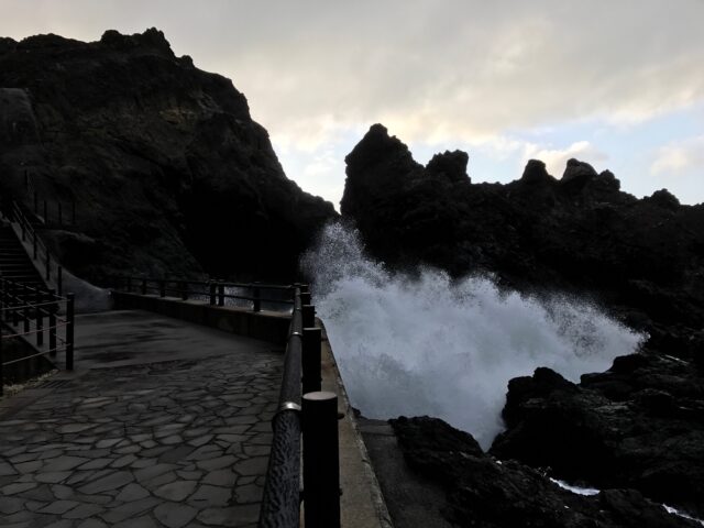 テレビドラマや音楽イベントでのスクリプター業務の違いについて