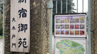 【弊社から徒歩4分】四季折々の景観が楽しめる新宿御苑について