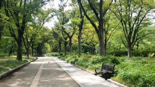 バラエティ番組のENGロケにCAとして参加〜撮影の大まかな流れや注意した点など