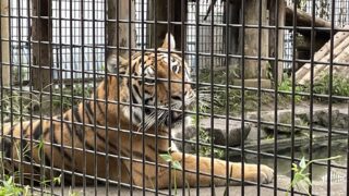 TV番組の地方ロケにCAとして参加~三脚持ちと照明を担当