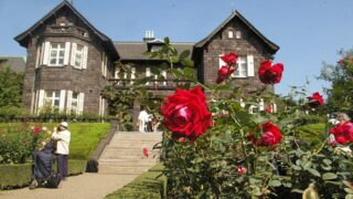 パンフォーカスとボケ表現〜「硬い感じ」と「柔らかい感じ」